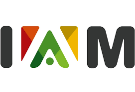 Groupe IAM
